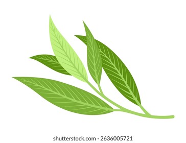 Tea brewing icon. Accessories for tea party. Traditional and cozy tea drinking. Element for aromatic hot drink. Flat vector illustration isolated on white background