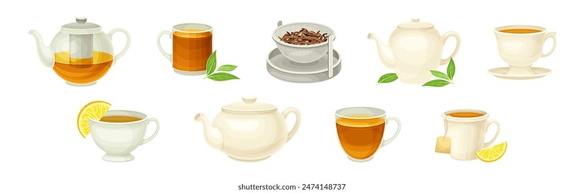 Tea Brewing with Teapot and Cup Vector Set