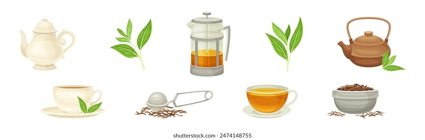 Tea Brewing with Teapot and French Press Vector Set