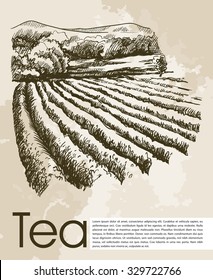 tea ceremony. beautiful background made by hand