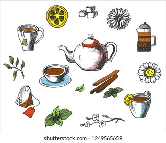 Tea collection elements in graphic style, hand-drawn vector illustration