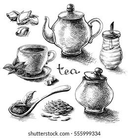 tea collection elements in graphic style, hand-drawn vector illustration.