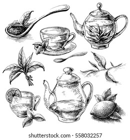 tea collection elements in graphic style, hand-drawn vector illustration.