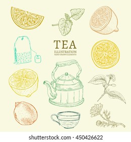 Tea Collection hand drawn set  teapot, cup, tea bag, lemon vector 