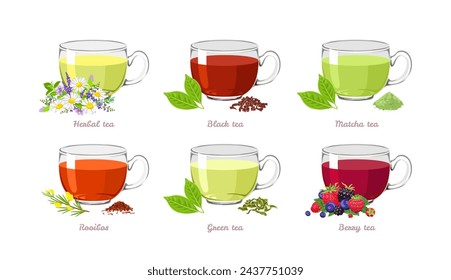 Tea collection. Set of different types of tea in glass cups. Vector cartoon illustration of hot drink.