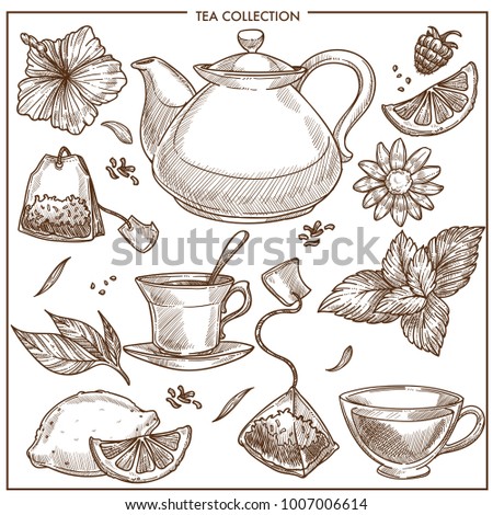 Tea collection vector sketch icons of cups, teapot and teabags or herbal flavorings