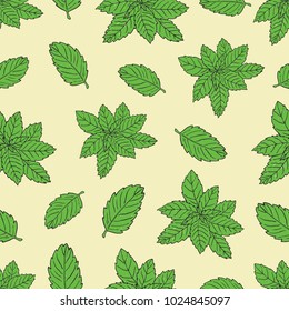 Tea collection.Vector hand drawn seamless pattern with green peppermint