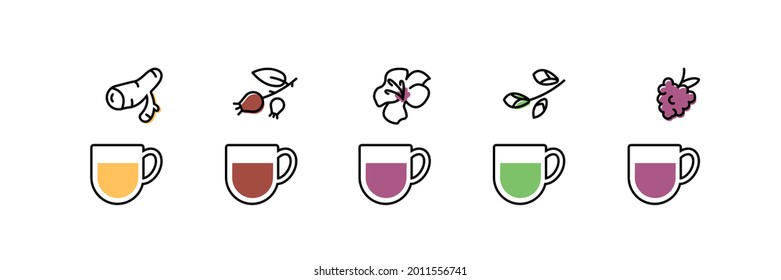 Juego de iconos de taza de té. jengibre, jazmín, berry, hibisco, té de cadera rosa. Carta de bebidas con productos orgánicos. Concepto de arte de línea. Ilustración vectorial sobre fondo blanco, aislado