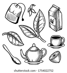 tea cup leaf set doodle retro illustration