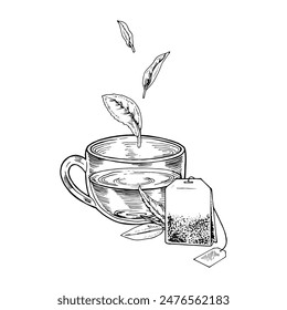 Tea Cup with leaves floating above it. Vector hand-drawn illustration. Glass mug with infuser bag sketch drawing. Black and white vintage art. With editable backgrounds. For cards and drink packaging