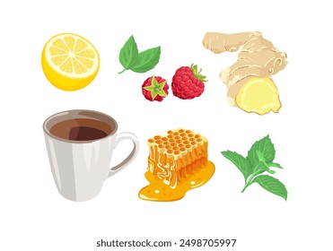 Tea in cup with lemon, ginger, raspberry, honey and mint. Vector cartoon flat illustration.