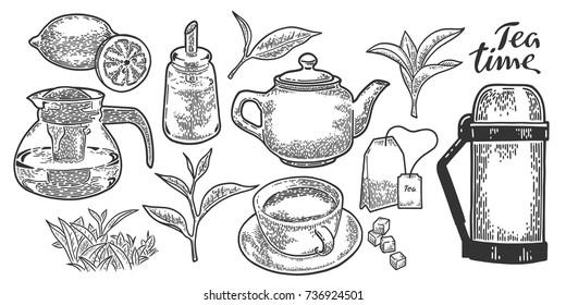 Tea cup, teapot, sugar bowl, tea leaf, tea bag, lemon and thermos. Vintage vector engraving illustration. Hand drawn design element isolated on white background.