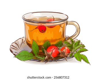 Tea from a dogrose. Vector illustration.