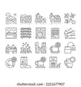 Tea Drink Production Collection Icons Set Vector. Growth Of Tea On Plantation And Harvesting, Cultivation And Sorting, Flavoring And Packaging Black Contour Illustrations