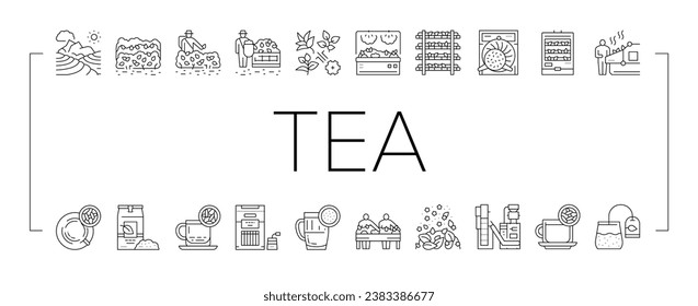 Iconos De La Colección De Productos De Bebidas De Té Set Vector. Crecimiento Del Té En Plantación Y Cosecha, Cultivación Y Ordenación, Flavor Y Empaquetado Ilustraciones De Contorno Negro