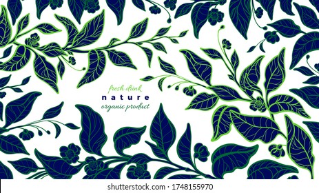 Tea floral plant. Vector nature background. Green branch, flower, leaves. Art line illustration, botanical sketch. Organic graphic template, bio card. Fresh matcha
 