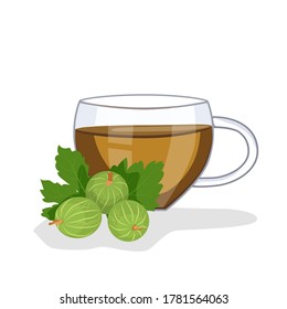 Tea with gooseberries in a glass cup, gooseberries are lying nearby. Vector illustration