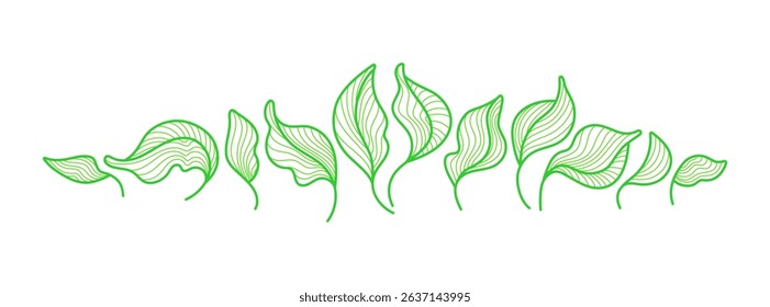 Tea green leaves. Graphic line plant, vector foliage isolated on white background. Artdeco simple nature collection. Ornamental symbol. Minimal sign