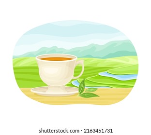 Tea Green Terrace Field Plantation and Ceramic Cup with Hot Aromatic Beverage Brewing Vector Illustration
