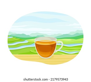 Tea Green Terrace Field Plantation and Glass Cup with Hot Aromatic Beverage Brewing Vector Illustration