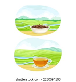 Tea Green Terrace Field Plantation and Cup with Hot Aromatic Beverage Vector Set