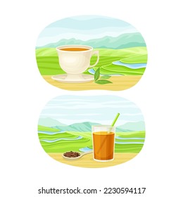 Tea Green Terrace Field Plantation and Cup with Hot Aromatic Beverage Vector Set