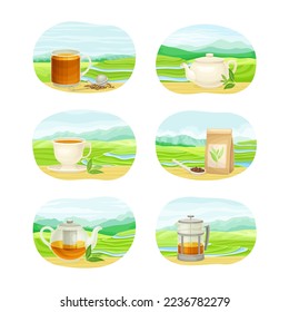 Tea Green Terrace Field Plantation and Cup and Teapot with Hot Aromatic Beverage Vector Set