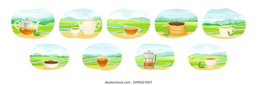 Tea Green Terrace Field Plantation with Hot Aromatic Beverage Brewing Vector Set