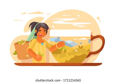 Crecimiento del té e ilustración vectorial de producción. Mujer con cesta llena de hojas de té. Gran cachorro con un diseño plano fresco y sabroso. Aislado en blanco