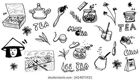 Tea hand drawn ink vector set. Teapot, tea bags chamomile, ginger, citrus peel, hibiscus, cinnamon, fennel, matcha, chai