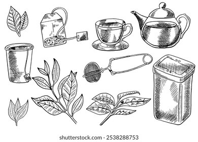 Tea hand drawn set. Tea ceremony tools collection. Vector illustration