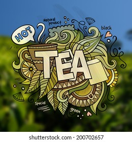 Tea hand lettering and doodles elements illustration. Vector blurred tea plantation background