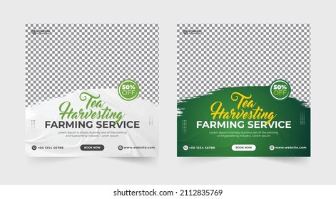 Tea Harvesting And Farming Service Social Media Banner. Organic Food Banner. Tea Harvesting Service Flyer. Agro Farm Service Banner. Organic Food Flyer Template. Agriculture Farming Service.