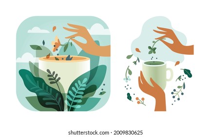 Tea, herbal collection, hands with a tea cup and berries, leaves, flowers, natural background