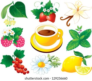 Tea herbal set, cup of tea