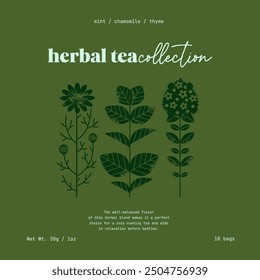 Ilustración de hierbas de té. Manzanilla con menta y tomillo. Plantilla de diseño de silueta.