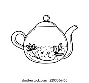 tea with herbs and berries for health and good sleep in a transparent glass teapot, vector doodle hand drawn sketch illustration