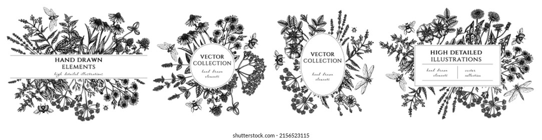 Tea herbs hand drawn frame templates. Vintage illustrations of chamomile, mint, chicory, etc.