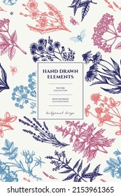 Tea herbs pattern card design. Hand drawn chamomile, chicory, cinnamon rose, etc.