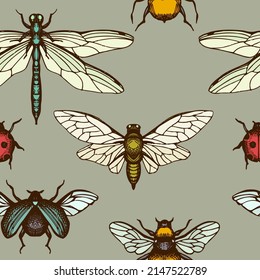 Tea herbs seamless pattern background design. Engraved style. Hand drawn insect.