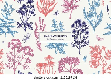 Tea herbs seamless pattern background design. Engraved style. Hand drawn chamomile, chicory, cinnamon rose, etc.