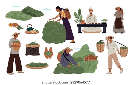 Tea industry. Indian or China gardening. Raw material for drink production. People picking leaves on plantation. Growing agriculture plants. Harvesting and drying. Garish