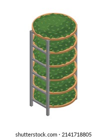 Tea industry isometric icon with fermentation racks with leaves 3d vector illustration