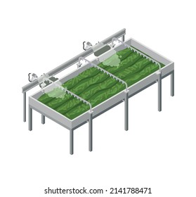 Tea industry production isometric icon with factory equipment on white background 3d vector illustration