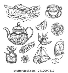 Tea items handdrawn engraving. Teapot, cup of cinnamon and a slice of lemon. Vector illustartion