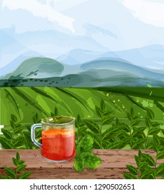 Tea landscape Vector watercolor. Green fields background. Aromatic tea brochures