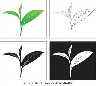 Hoja de té, 2 hojas y brotes. Arte vectorial