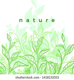 Hoja de té, arbusto. Plantilla nueva vectorial. Plantación verde de fondo blanco. Dibujo artístico, diseño biológico. Alimentos naturales a base de plantas. Tarjeta floral. Planta orgánica vegana. Patrón de medicina