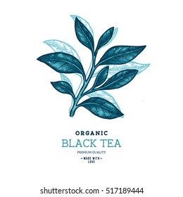 Tea leaf design template. Engraved leaf logotype. Vector illustration