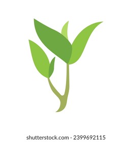 tea leaf icon design vector template